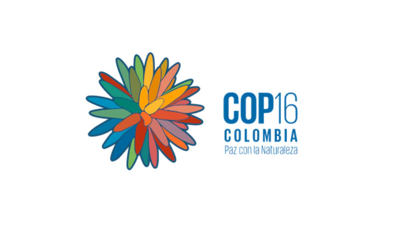 United Nations Biodiversity Conference (COP16 CBD)