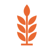 Brokering knowledge for sustainability (click to view)
