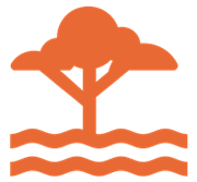 Enhancing capacity for system transformation (click to view)