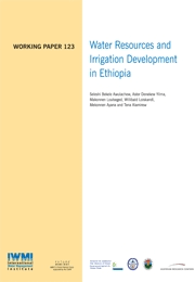 WorkingPaper-123