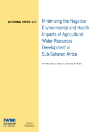 WorkingPaper-117