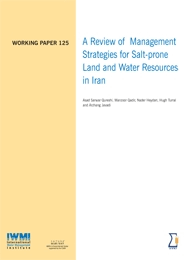 WorkingPaper-125