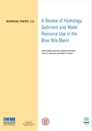 WorkingPaper-131