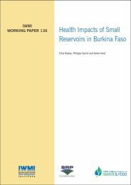 WorkingPaper-136
