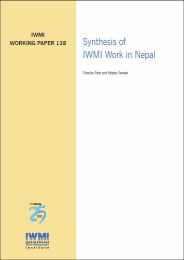 WorkingPaper-138