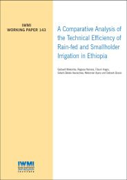 WorkingPaper-143