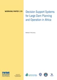 WorkingPaper-119