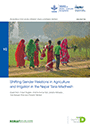 Shifting gender relations in agriculture and irrigation in the Nepal Tarai-Madhesh (12/16/2020) 