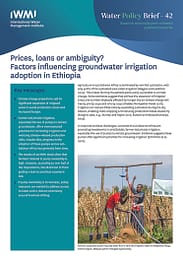 Prices, loans or ambiguity? Factors influencing groundwater irrigation adoption in Ethiopia (12/08/2021) 