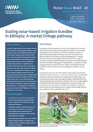 Scaling solar-based irrigation bundles in Ethiopia: a market linkage pathway. Adaptive Innovation Scaling - Pathways from Small-scale Irrigation to Sustainable Development (01/27/2023) 