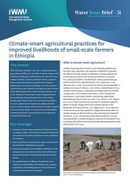 Climate-smart agricultural practices for improved livelihoods of small-scale farmers in Ethiopia (07/31/2024) 