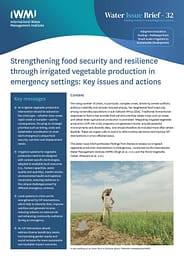 Strengthening food security and resilience through irrigated vegetable production in emergency settings: key issues and actions. Adaptive Innovation Scaling - Pathways from Small-scale Irrigation to Sustainable Development (01/31/2025) 