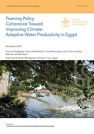 Framing policy coherence toward improving climate-adaptive water productivity in Egypt (12/31/2024) 