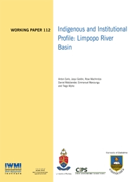 WorkingPaper-112