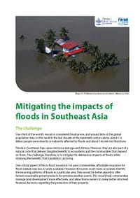 Mitigating the impacts of floods in Southeast Asia