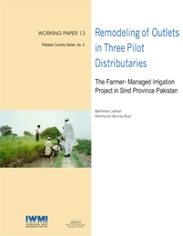 WorkingPaper-13