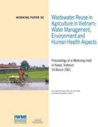WorkingPaper-30