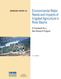WorkingPaper-42