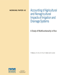 WorkingPaper-43