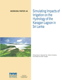 WorkingPaper-44