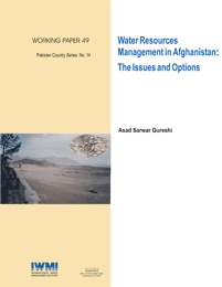 WorkingPaper-49