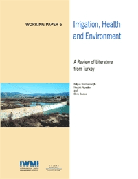 WorkingPaper-6