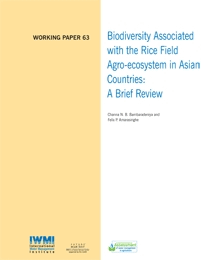 WorkingPaper-63