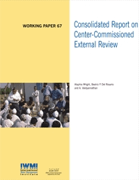 WorkingPaper-67