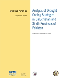 WorkingPaper-86