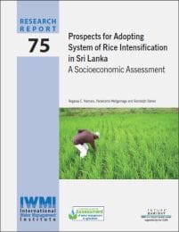 Research_Report-75