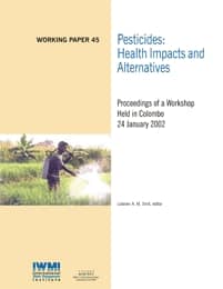 WorkingPaper-45