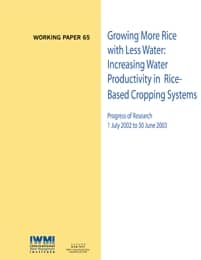 WorkingPaper-65