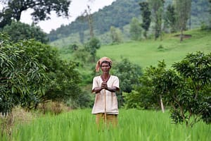 CGIAR Initiative: Climate Resilience (ClimBeR)