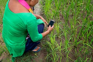 CGIAR Initiative: Excellence in agronomy