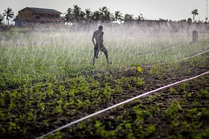 Advisory services for irrigation