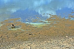 A dried-up lake in Thanthirimale, Sri Lanka (Dominique_Perera)