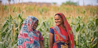Maize farmers in India. Photo: Metro Media / IWMI