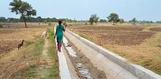Dried-up canal in Gujarat. Photo: Hamish John Appleby / IWMI