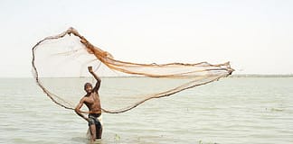A fisherman casting his net at Tono dam, Upper East Region in Navrongo, Ghana. Photo: Hamish John Appleby / IWMI