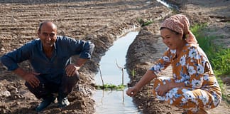 Two farmers work in rural Tajikistan as part of a Water User Association in Central Asia. Madeline Dahm / IWMI