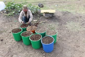 The ingredients of the growing medium 