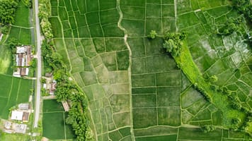 ASEAN-CGIAR agri-food systems regional program