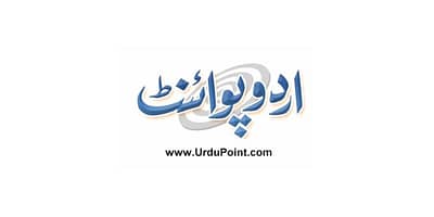 UrduPoint logo