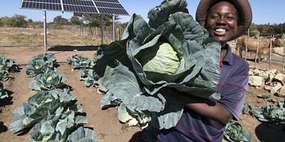 Promoting youth-led innovation to build climate-smart agribusiness solutions