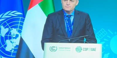 COP28