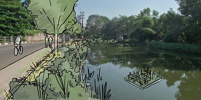 Drawing of Kinda Canal edged with plants rather than remaining entirely channelized with embankments. Plants slow stormwater flows, allowing sediment and pollutants to settle before being treated. This intervention creates vital new public space. Floating wetlands, as illustrated in the canal, also improve the environment. Laura Keil / IWMI.