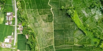 ASEAN-CGIAR agri-food systems regional program