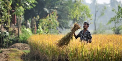 CGIAR Initiative: Asian Mega-Deltas