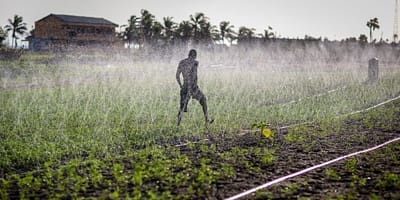 Advisory services for irrigation