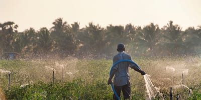Photo credit: Hamish John Appleby / IWMI Discover how climate-smart agriculture is helping to combat low crop yields in the Global South